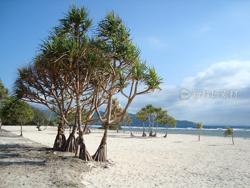 Gili Trawangan，印度尼西亚